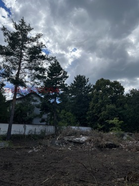 ������� ������ | Imot.bg � ����� ������ 5