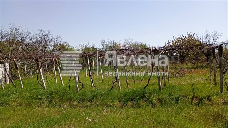 For Sale  Plot region Varna , Osenovo , 737 sq.m | 11221370 - image [2]