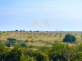 Продава ПАРЦЕЛ, с. Климентово, област Варна, снимка 8