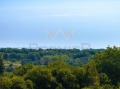 Продава ПАРЦЕЛ, с. Климентово, област Варна, снимка 7