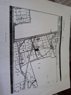 ����� ������� ���������� ����,�. ������, ������ ����� ������