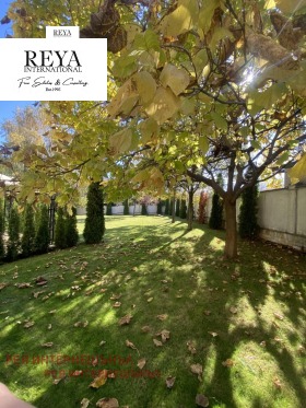 ������� ������ ������ | Imot.bg � ����� ������ 11