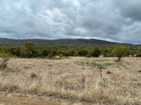 ������ ������� ������