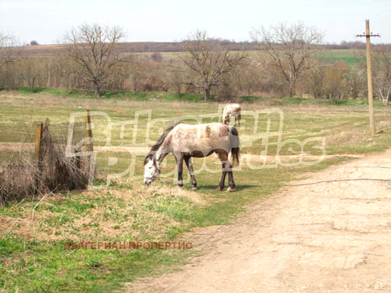 Satılık  Ev bölge Veliko Tarnovo , Suşica , 100 metrekare | 31295525 - görüntü [9]