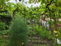 Продава КЪЩА, гр. Мъглиж, област Стара Загора, снимка 1