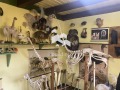 Продава  Къща област Ловеч , с. Брестница , 86 кв.м | 81519978 - изображение [9]