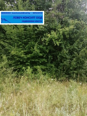 For Sale Plot