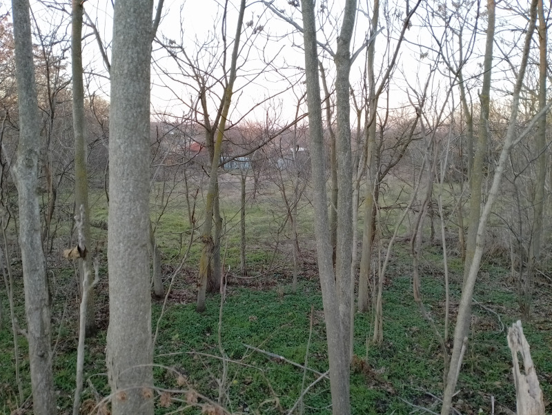 Продава  Парцел област Варна , с. Червенци , 2000 кв.м | 87563679 - изображение [3]