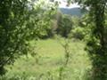 Продава ПАРЦЕЛ, с. Пряпорец, област Стара Загора, снимка 2