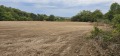 Продава ПАРЦЕЛ, с. Гривица, област Плевен, снимка 3