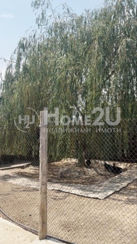   | Imot.bg    11
