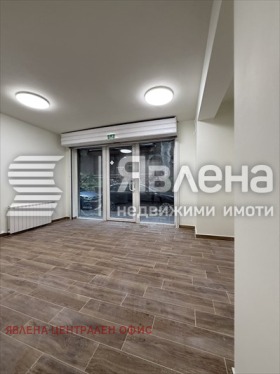 ����� ������� �������,���� �����, ������