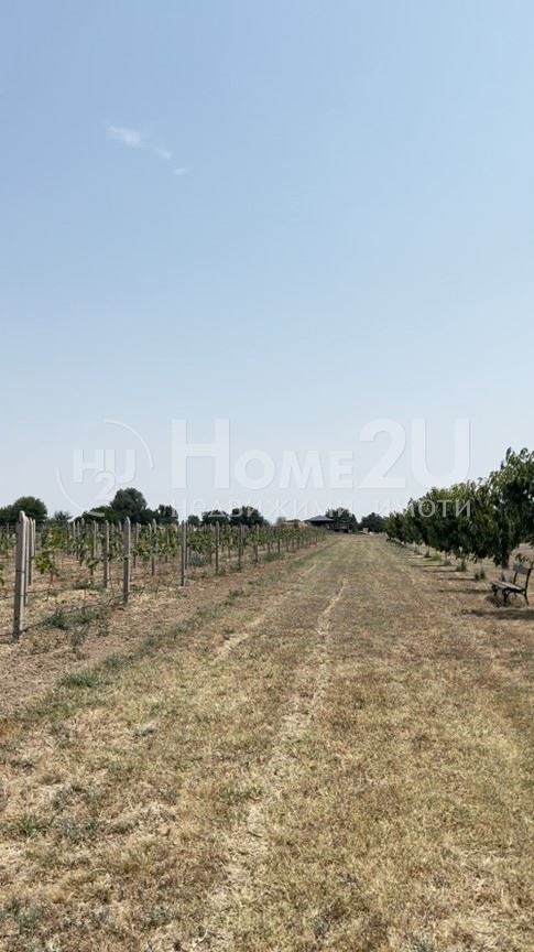 Продава  Вила област Пазарджик , с. Щърково , 23000 кв.м | 32686597 - изображение [6]