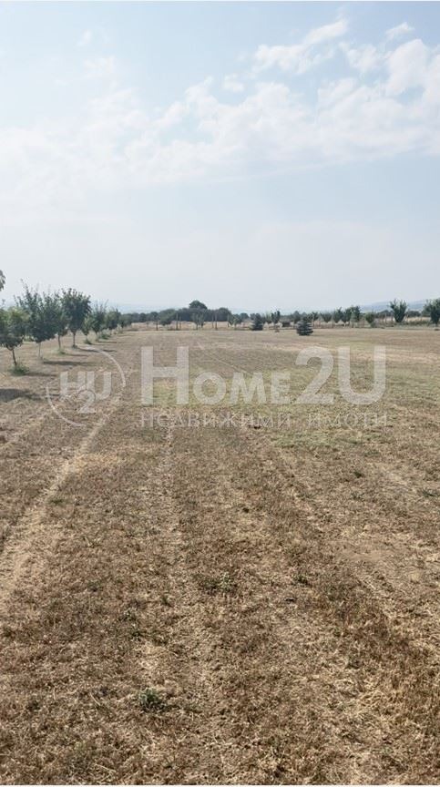 Продава  Вила област Пазарджик , с. Щърково , 23000 кв.м | 32686597 - изображение [7]