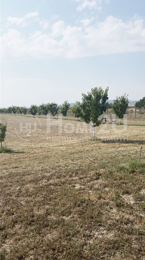 Продава  Вила област Пазарджик , с. Щърково , 23000 кв.м | 32686597 - изображение [9]