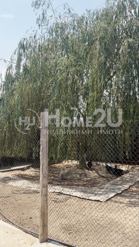 Продава  Вила област Пазарджик , с. Щърково , 23000 кв.м | 32686597 - изображение [11]