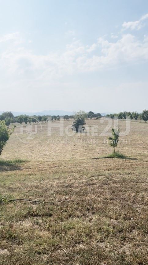 Продава  Вила област Пазарджик , с. Щърково , 23000 кв.м | 32686597 - изображение [5]
