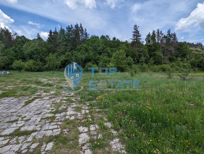 For Sale  Plot region Gabrovo , Belitsa , 1750 sq.m | 48397592 - image [4]