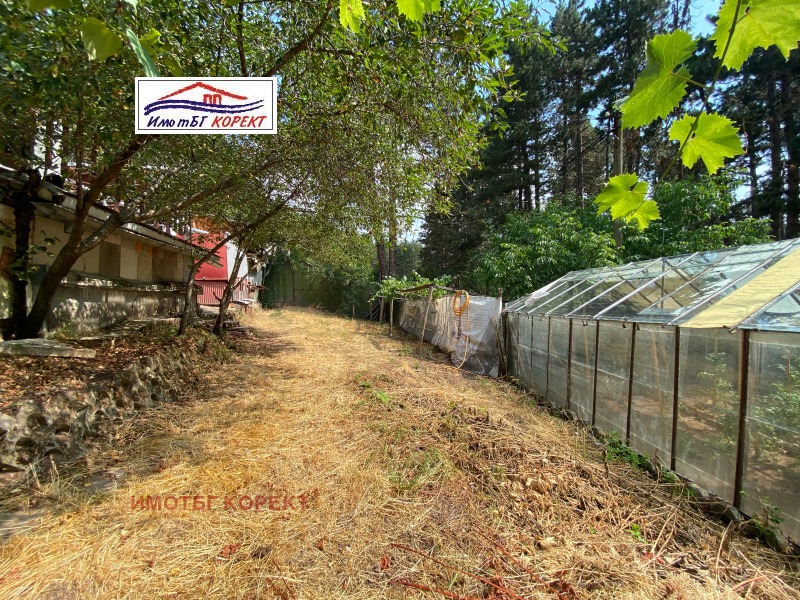 Na prodej  Spiknutí Sofia , Podgumer , 732 m2 | 90954589 - obraz [7]