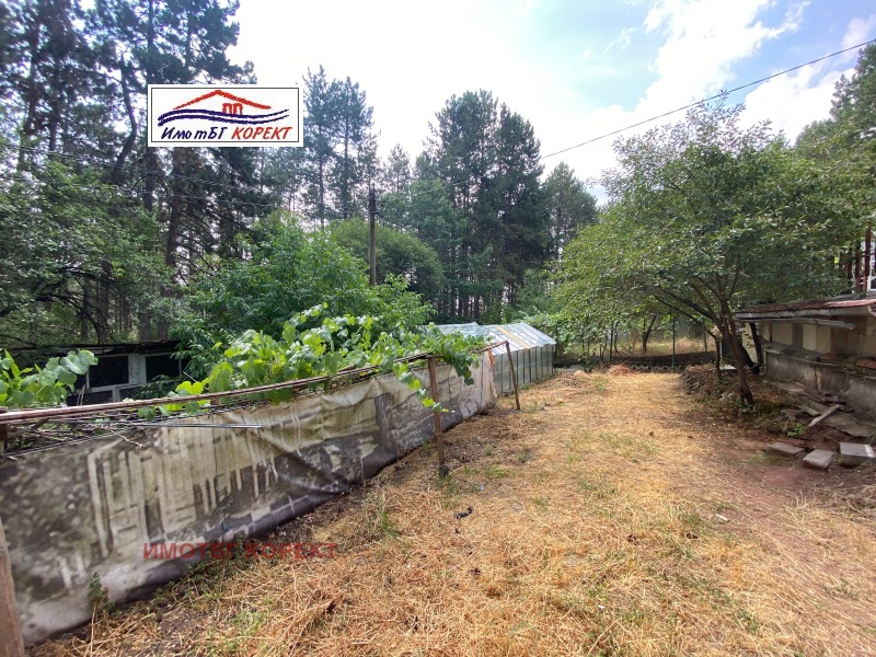 Na prodej  Spiknutí Sofia , Podgumer , 732 m2 | 90954589 - obraz [6]