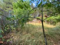 Продава ПАРЦЕЛ, град София, с. Подгумер • 65000 € • 35632732 — Holmes.bg