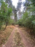 Продава ПАРЦЕЛ, град София, с. Подгумер • 65000 € • 35632732 — Holmes.bg