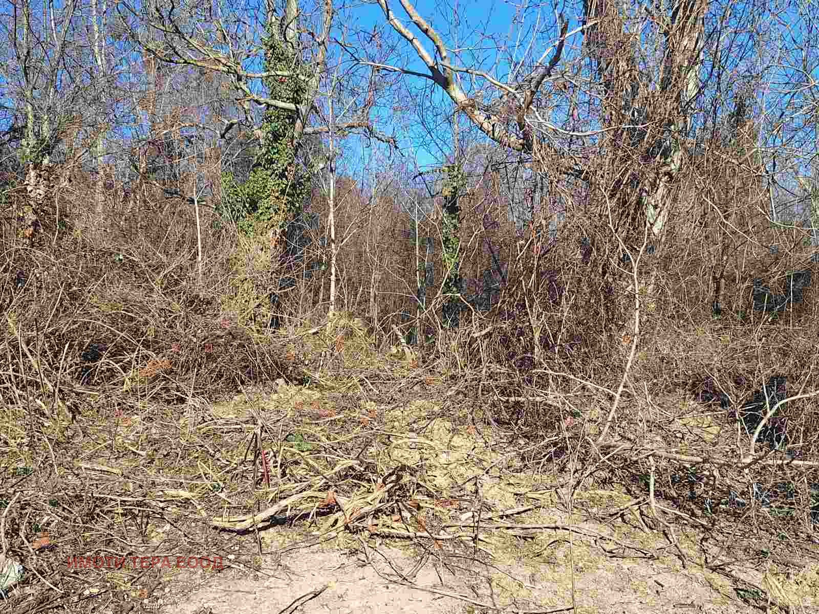 ������� ������ | Imot.bg � ����������� 10