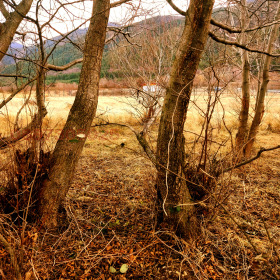 ������� ������ | Imot.bg � ����� ������ 6