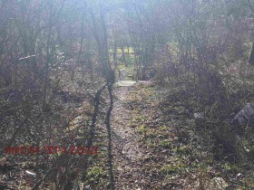 ������� ������ | Imot.bg � ����� ������ 17