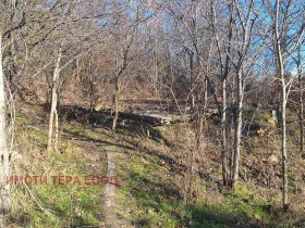 ������� ������ | Imot.bg � ����� ������ 12