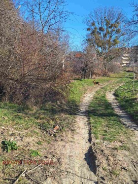 ������� ������ | Imot.bg � ����� ������ 9