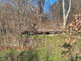 ������� ������ | Imot.bg � ����� ������ 11