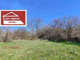 ������ ������� ������