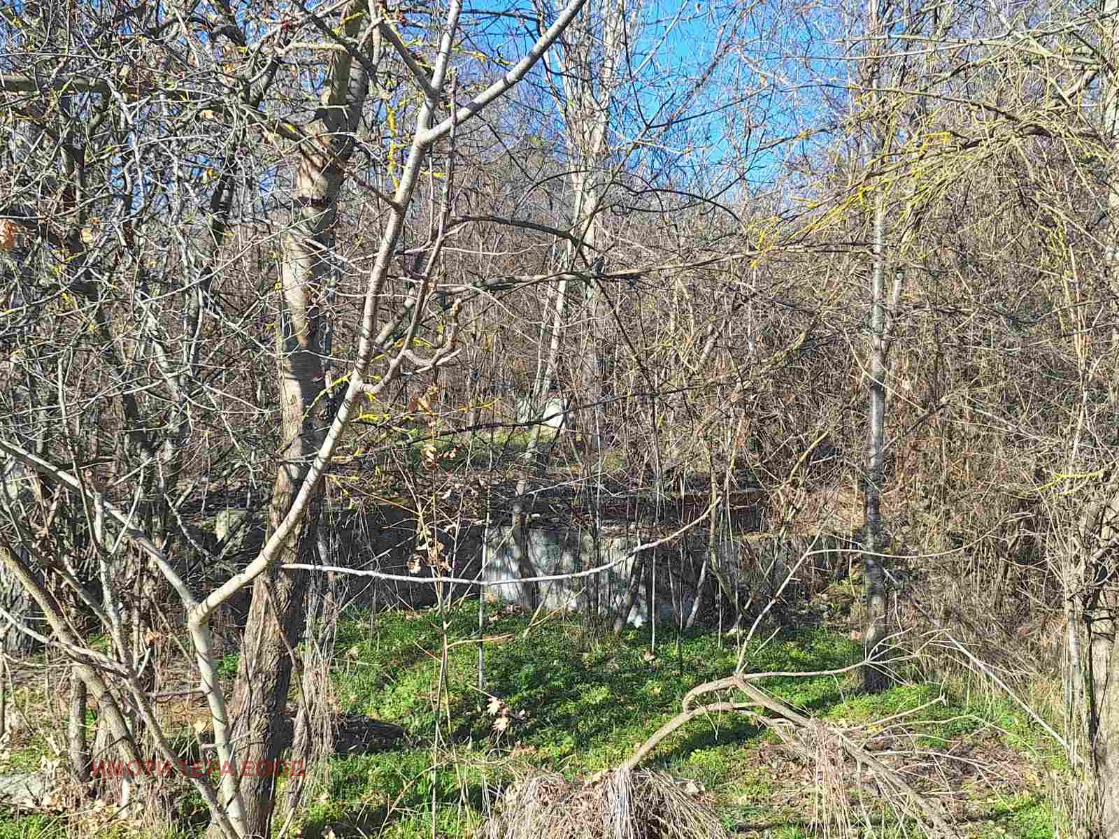 Продава ПАРЦЕЛ, с. Кранево, област Добрич, снимка 14 - Парцели - 53778387