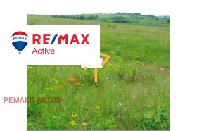 ������ ������� ������