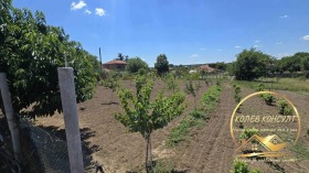 ������� ������ | Imot.bg � ����� ������ 2