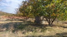 ������� ������ | Imot.bg � ����� ������ 5