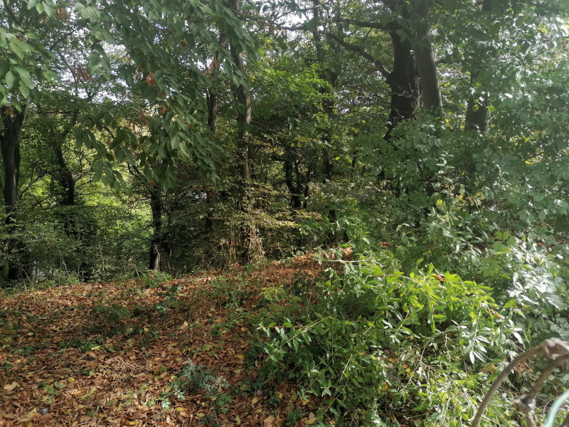 Продава ПАРЦЕЛ, гр. София, Княжево, снимка 9 - Парцели - 52407192