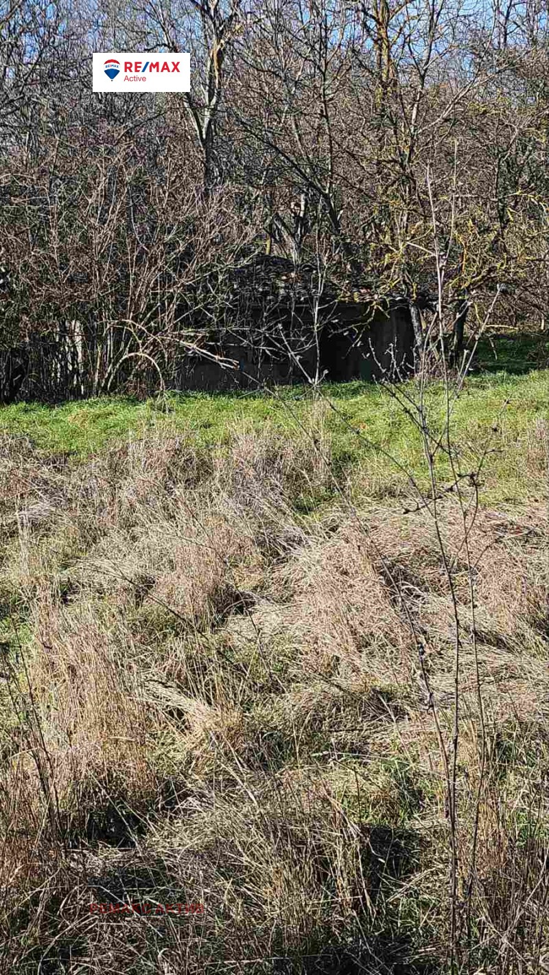 Продава ПАРЦЕЛ, с. Неофит Рилски, област Варна, снимка 3 - Парцели - 53587365