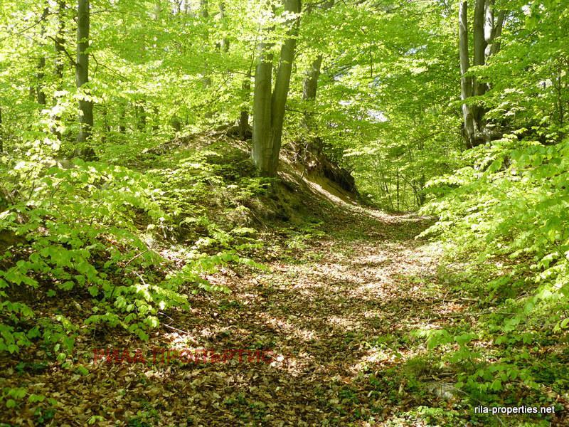 Продава ПАРЦЕЛ | Imot.bg — изображение 8