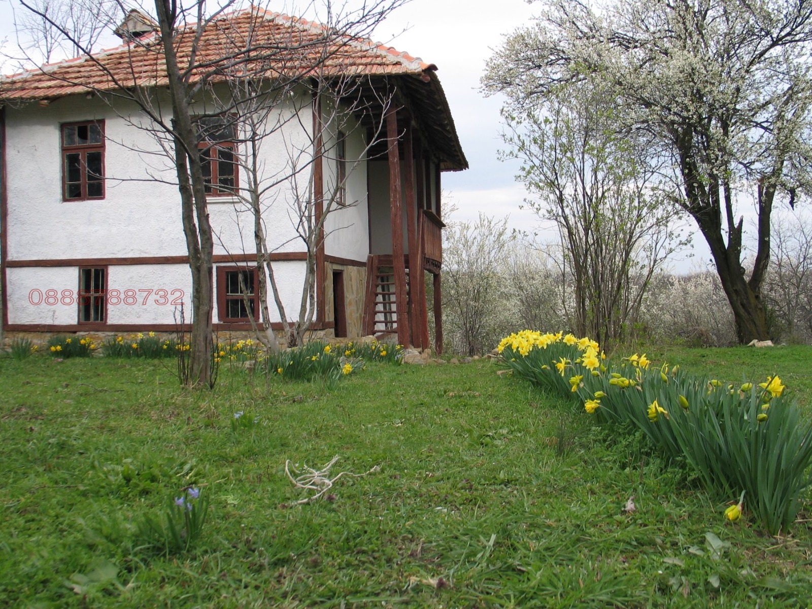 ������� ���� | Imot.bg � ����������� 1