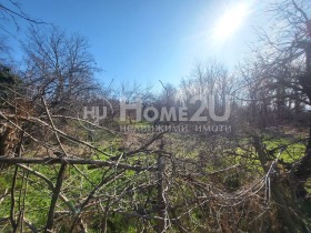Complotto Izgrev, Varna 2