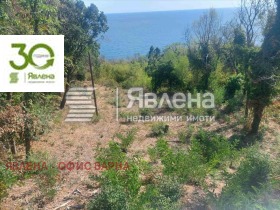 Plott Sveti Nikola, Varna