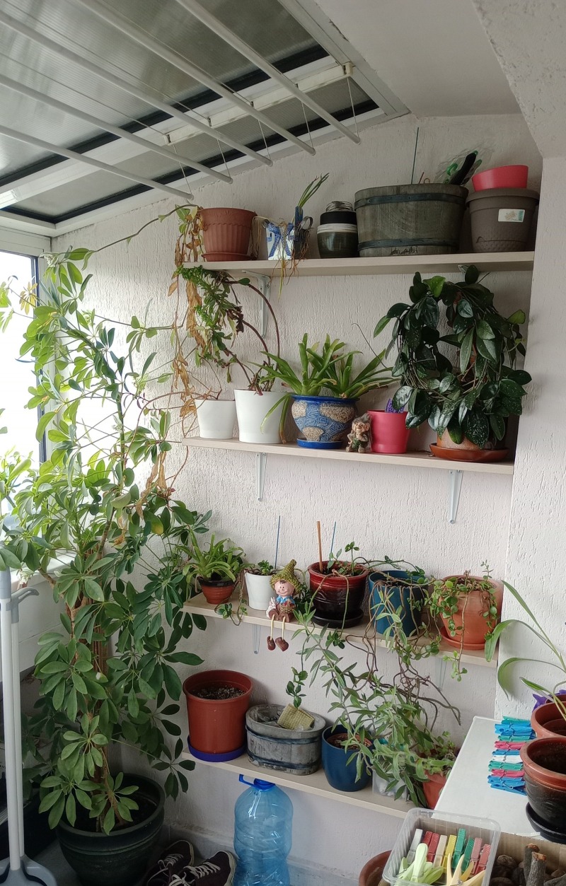 For Sale  2 bedroom Blagoevgrad , Idealen tsentar , 74 sq.m | 16708009 - image [10]