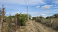 Продава ПАРЦЕЛ, град Бургас, с. Изворище • 25000 € / 48895.75 лв. • 60906140 8
