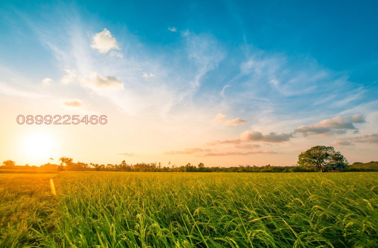 ������� ���������� ���� | Imot.bg � ����������� 1