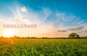 ����� ������� ���������� ����,��. ������, ������ ������