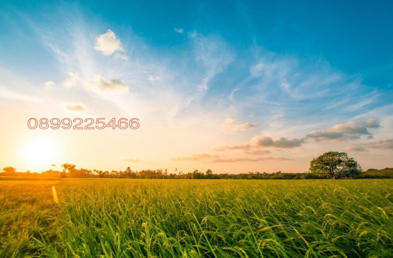 Продава ЗЕМЕДЕЛСКА ЗЕМЯ, гр. Добрич, област Добрич, снимка 1 - Земеделска земя - 52955586