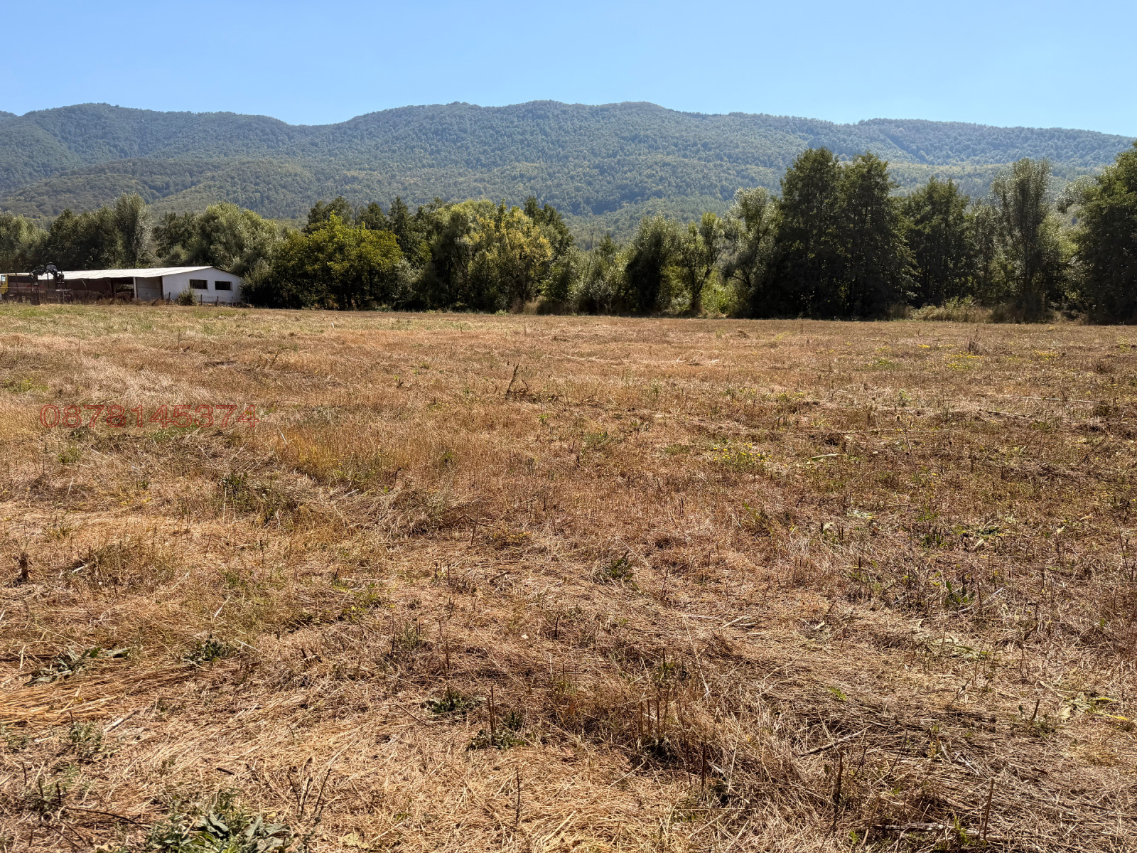 Продава ПАРЦЕЛ, с. Рибарица, област София област, снимка 4 - Парцели - 56024000