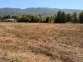 Продава ПАРЦЕЛ, с. Рибарица, област София област, снимка 4